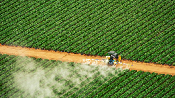 Pest Prevention Services in Montgomery, AL