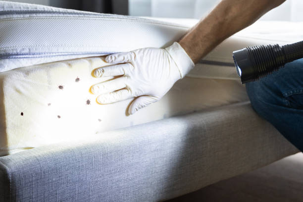 Best Pest Removal Services  in Montgomery, AL