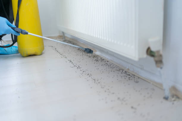 Best Pest Prevention Services  in Montgomery, AL