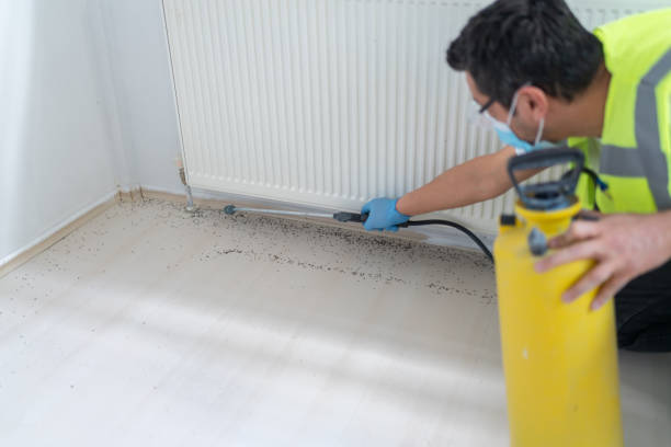 Best Flea Control Services  in Montgomery, AL
