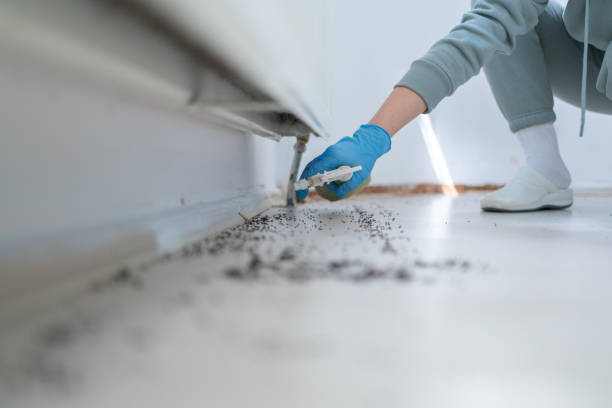 Professional Pest Control in Montgomery, AL